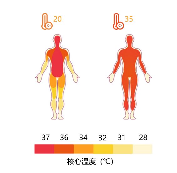 红外热成像做体温筛查靠谱吗？(图4)